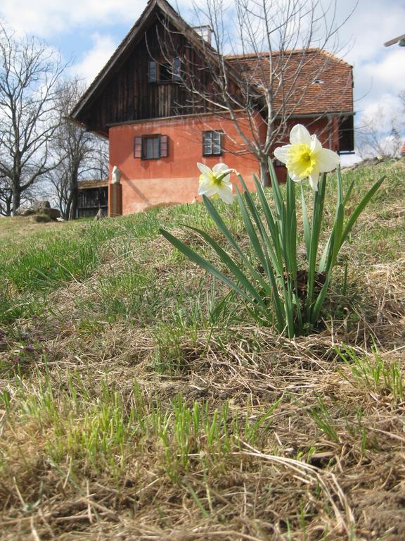 Ferienwohnungen Sonnenberg Ratsch an der Weinstraße Buitenkant foto
