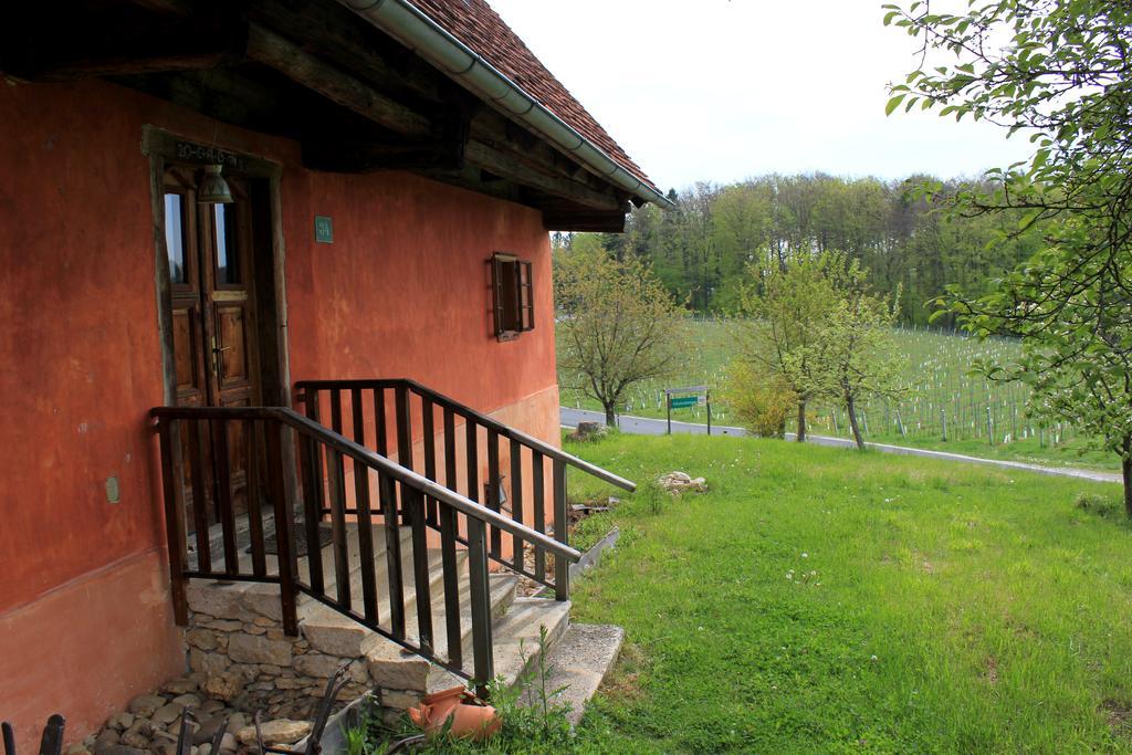 Ferienwohnungen Sonnenberg Ratsch an der Weinstraße Buitenkant foto